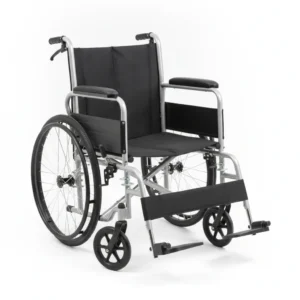 Wheelchair Assistance Support